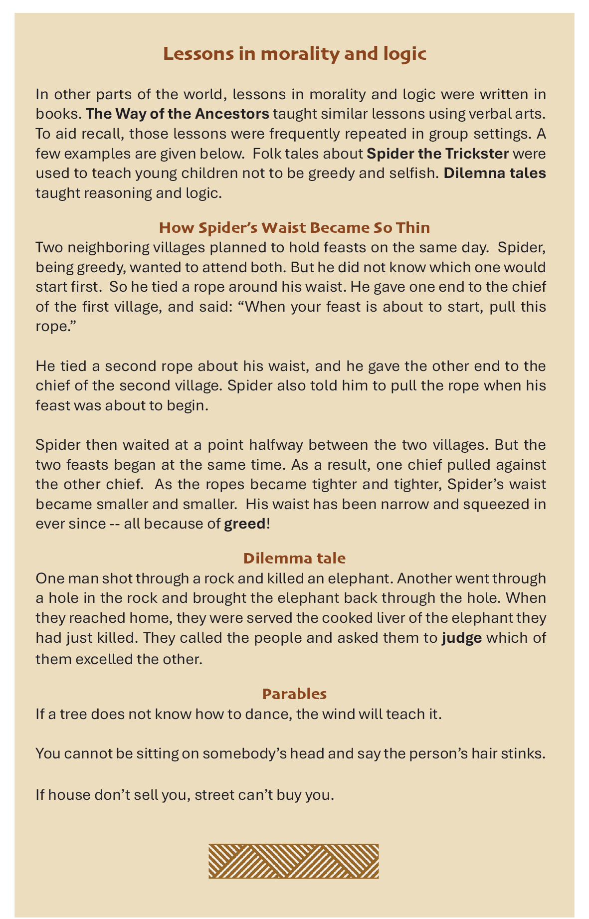 Sea Salt, Kola& Grains of Paradise