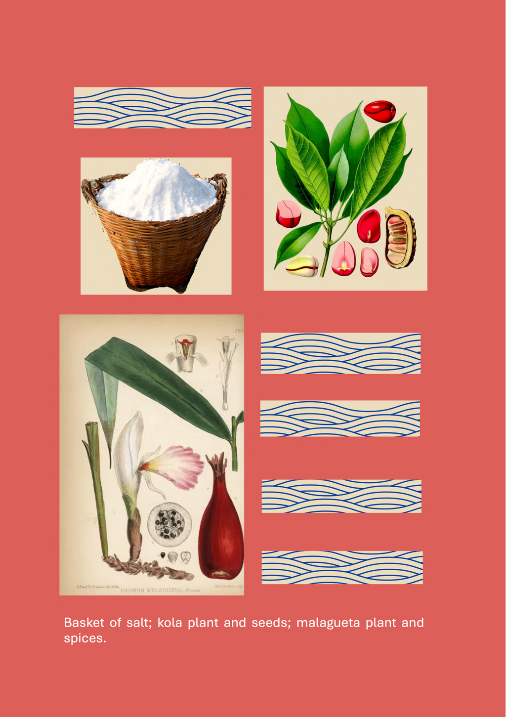 Sea Salt, Kola& Grains of Paradise